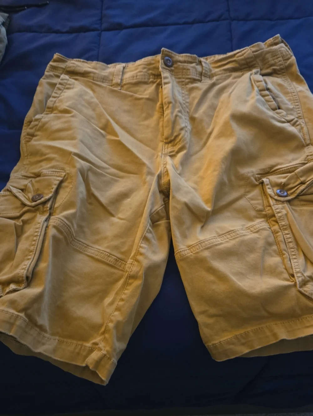 Sold🤑🤑American Eagle Outfitters Men's Cargo Shorts in Mustard Yellow